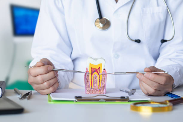 Best Dentist for Dental Trauma  in Toro Nyon, CA